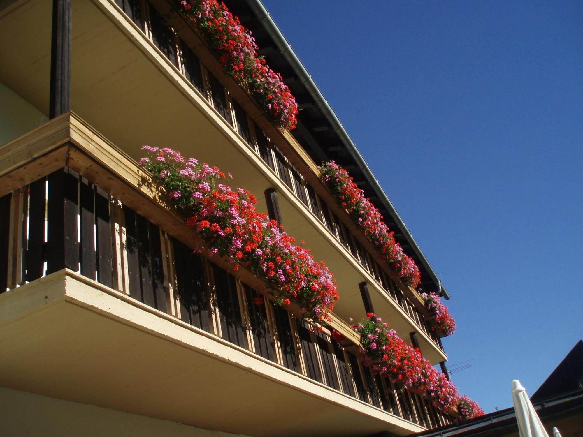 Hotel Lärchenhof St. Jakob in Defereggen Exterior foto